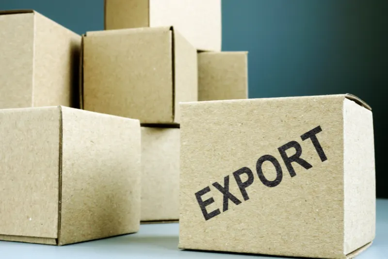 Any Other Export Products